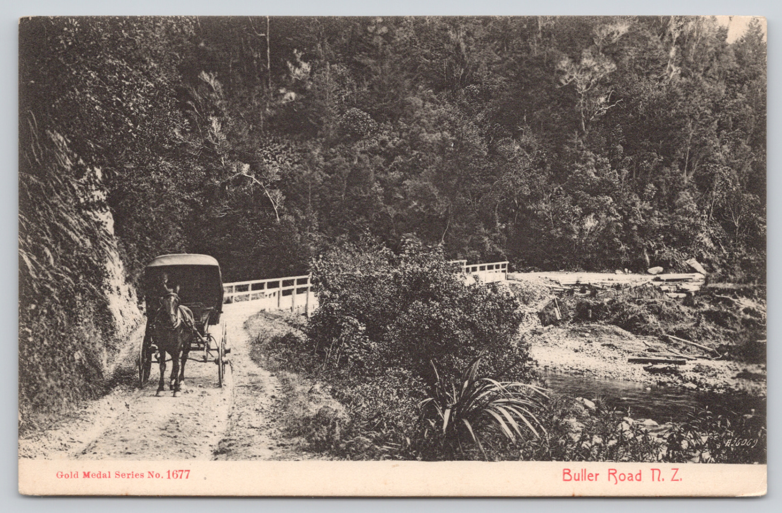 Postcard Buller Road, New Zealand, Man in Horse Drawn Carriage A1087