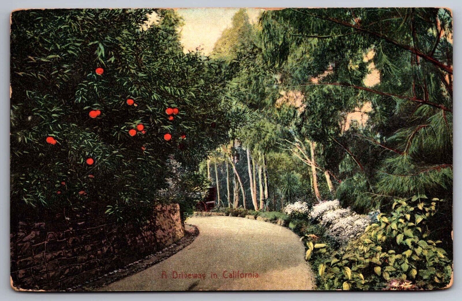 Postcard  Private Driveway in California Pos.1907  DB    A 23