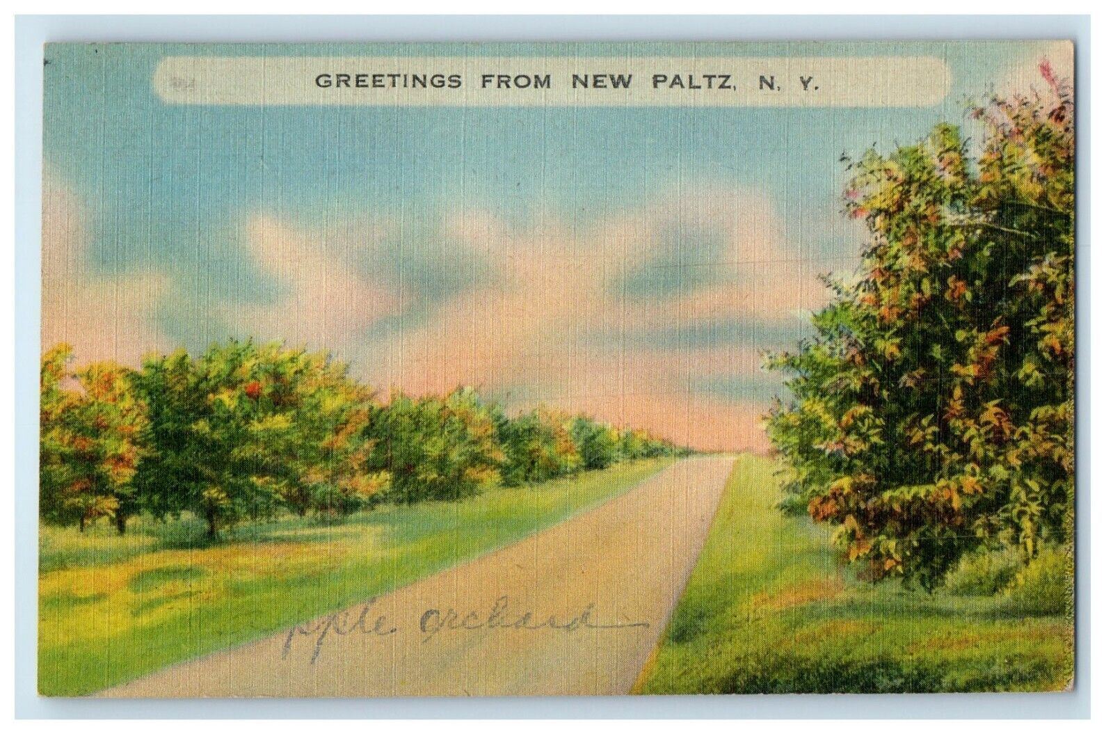 1943 Greetings From New Paltz New York NY, Road View Posted Vintage Postcard