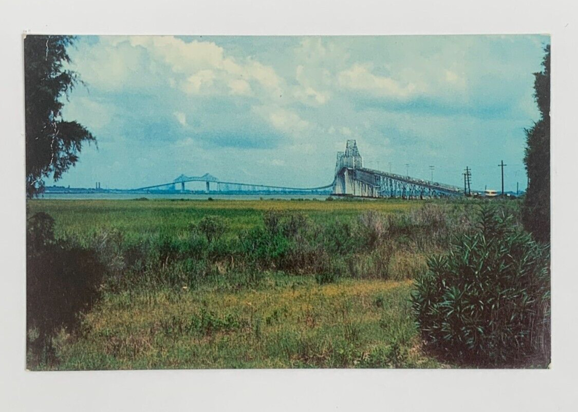 John P Grace Memorial Cooper River Bridge Charleston South Carolina Postcard