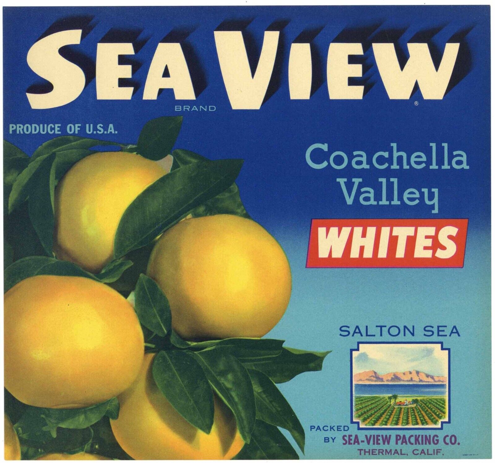SEA VIEW Vintage Coachella Valley Grapefruit Label, ***AN ORIGINAL LABEL*** D11