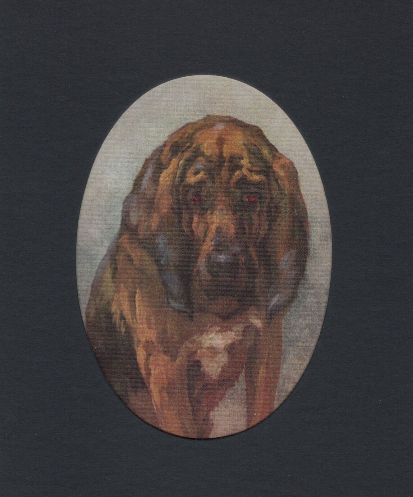 Vintage 1934 Bloodhound Print - CUSTOM MATTED - Dog Art Print - Ready to Gift