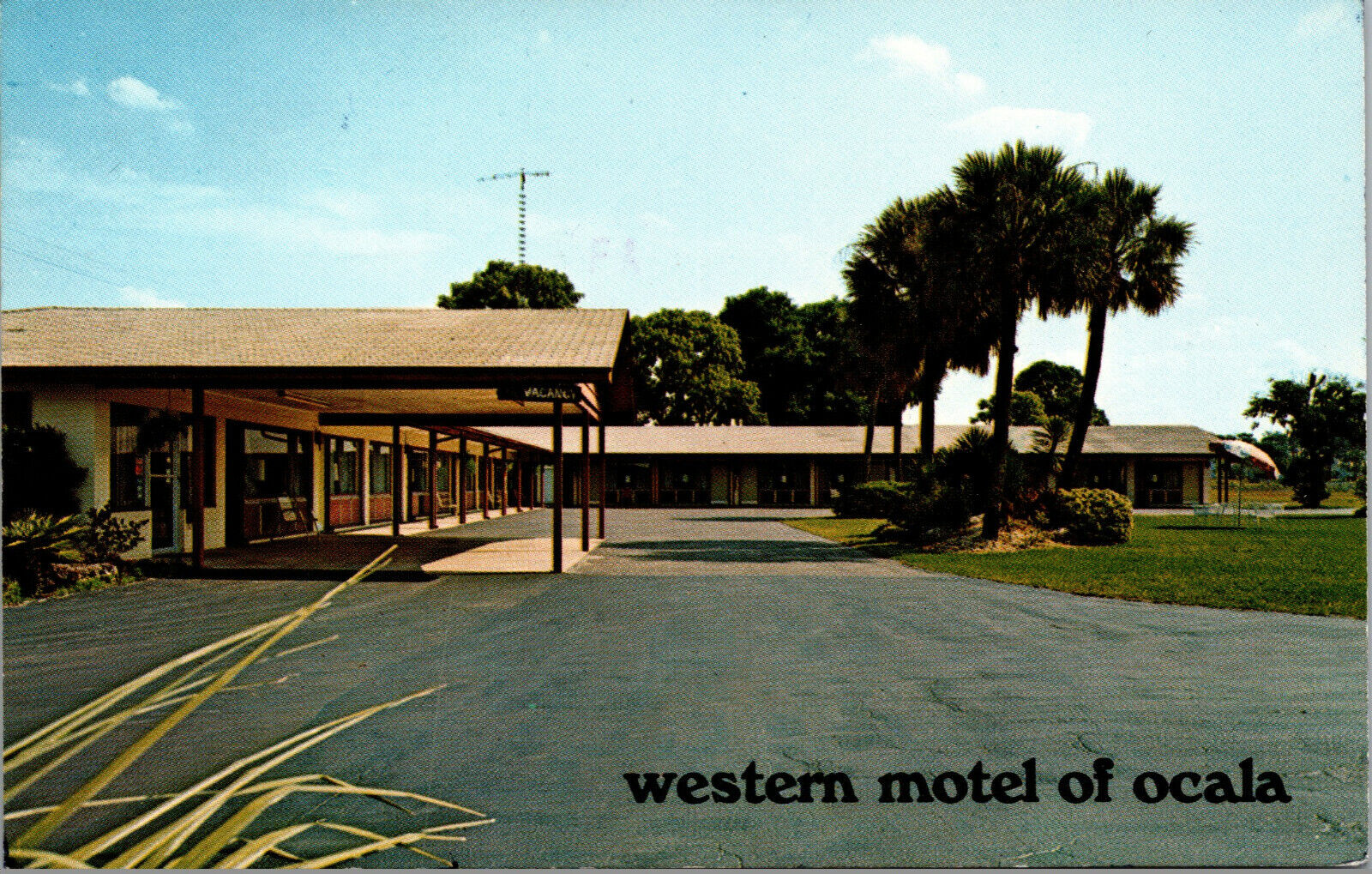 Vtg 1980s Western Motel of Ocala Florida  FL Roadside Postcard