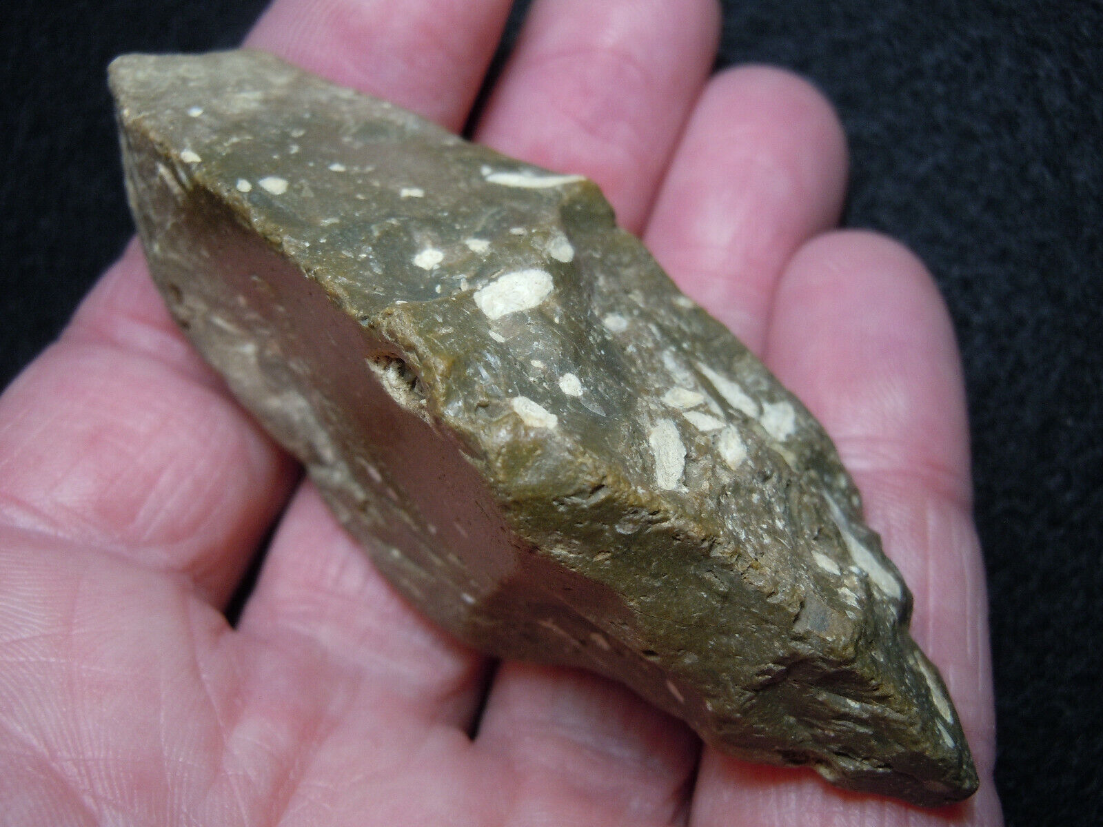 Flint Stick Stone Mace Neanderthal-Like W/ Fossils Kansas River Find 72.1 Grms