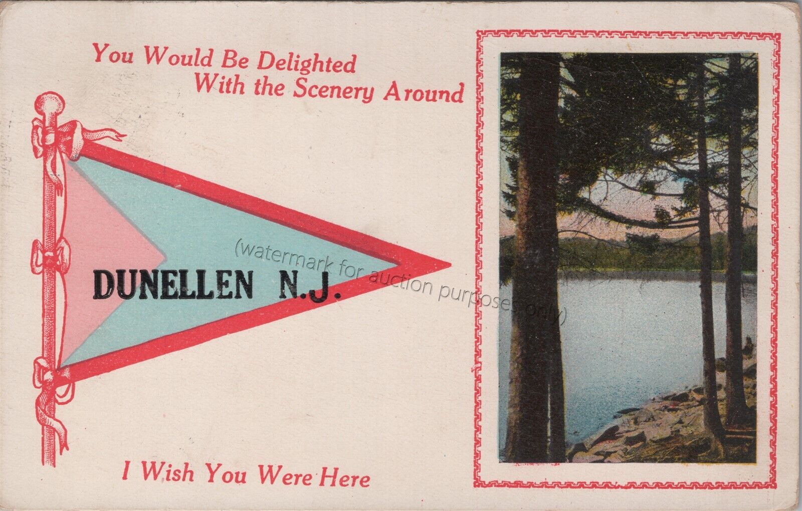 Dunellen, NJ: 1915 Pennant w/ Woods View - Vtg Middlesex Co New Jersey Postcard