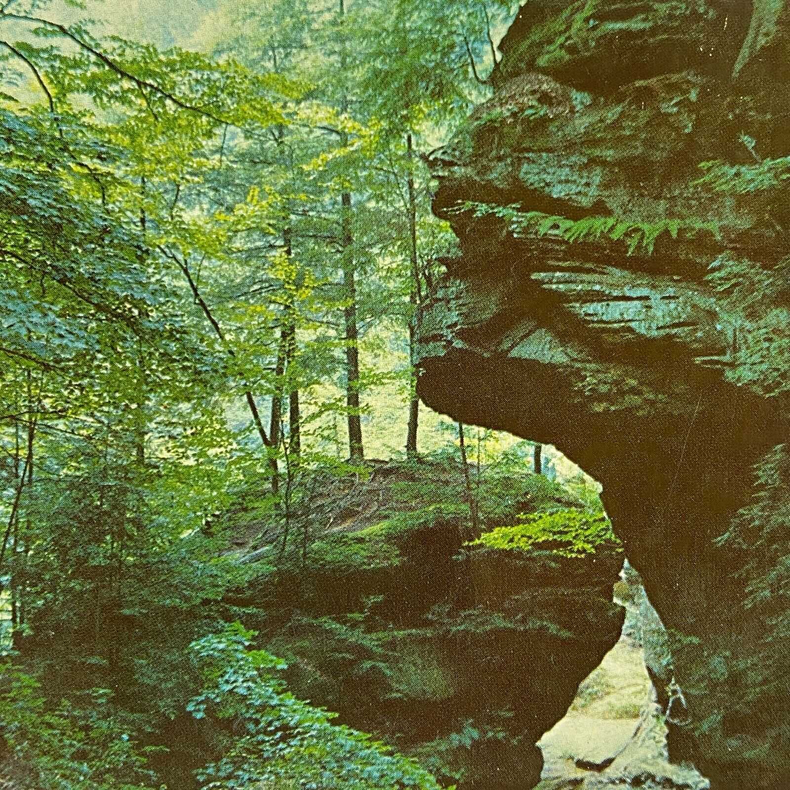 Logan OH Postcard Hocking State Park Spinx Sphinx Head Old Man\'s Cave