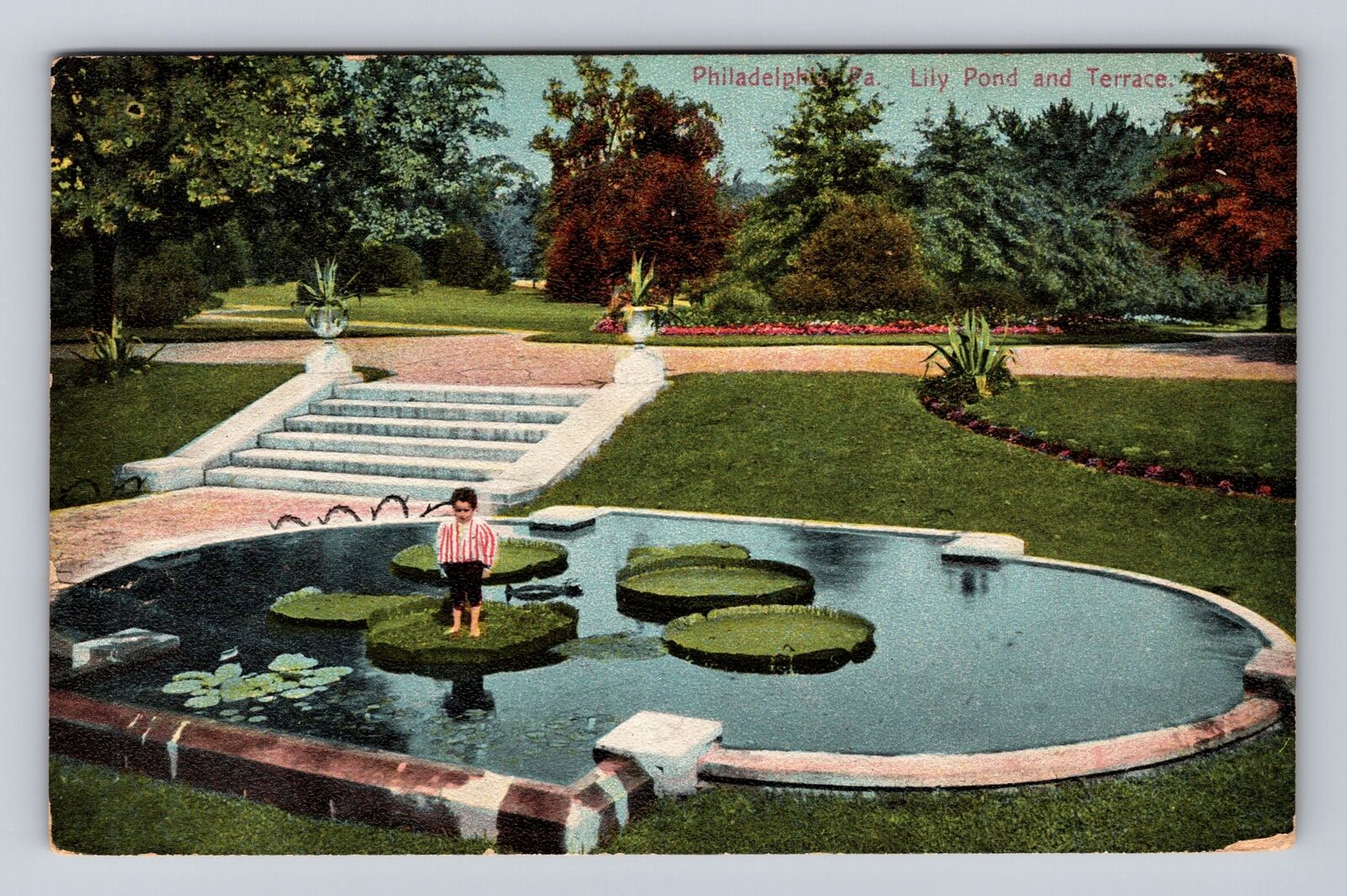 Philadelphia PA-Pennsylvania, Lily Pond & Terrace Antique Vintage c1909 Postcard