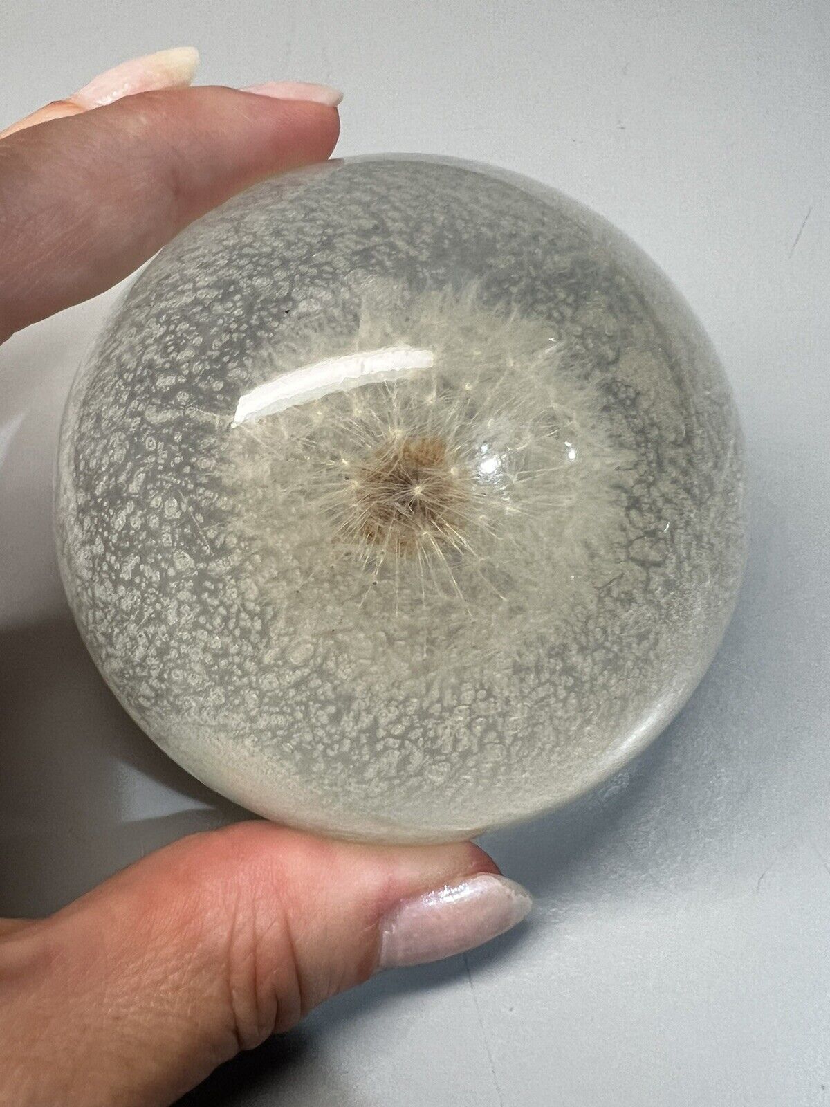 Vintage Dandelion In Acrylic Lucite Dome Paperweight 