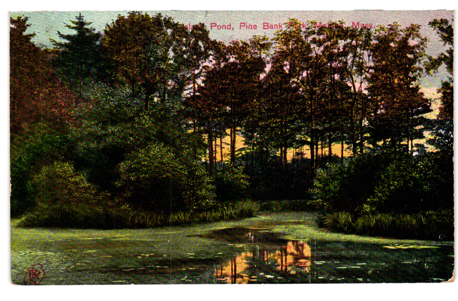 Malden, MA Massachusetts, Island Pond Pine Bank Park c 1911, Vintage Postcard