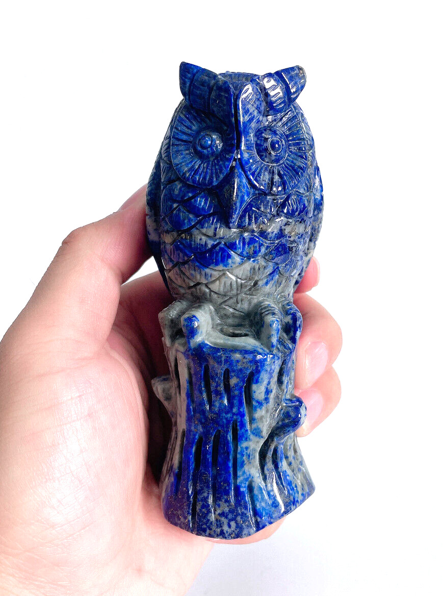Home Decoration , 5 in Natural Lapis lazuli Carved Crystal Owl Skull Sculpture