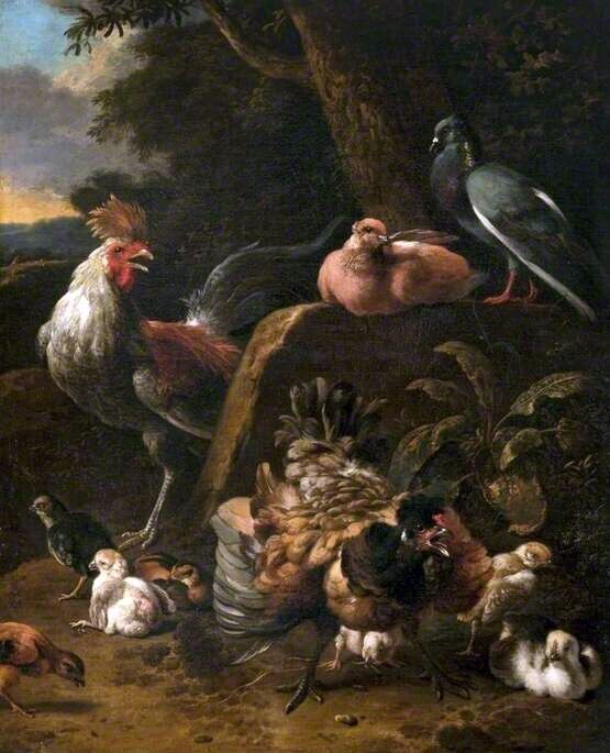 Art Oil painting Melchior-De-Hondecoeter-Poultry-and-Pigeons in landscape
