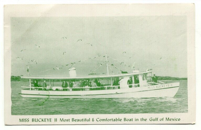 Deep Sea Fishing Boat Miss Buckeye II Clearwater Beach FL 1950s Postcard Florida