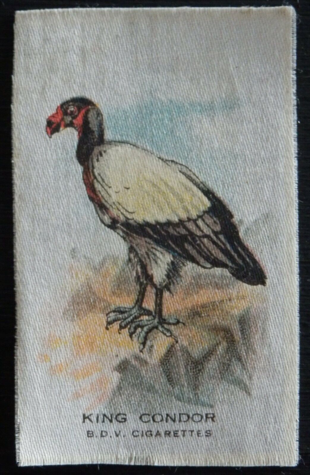 KING CONDOR Birds TOBACCO SILK issued in 1921 