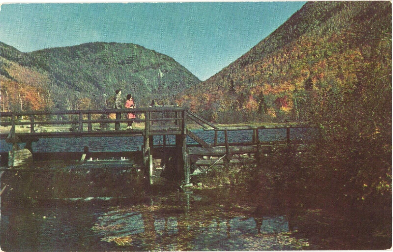 Mt. Willard & Crawford Notch, Crawford Notch State Park, New Hampshire Postcard