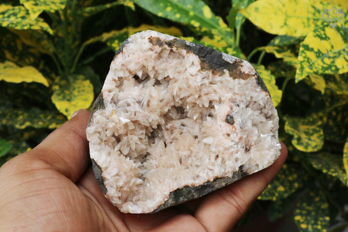 Natural Pink Apophyllite Minerals 337 gm Meditation Rough Specimen
