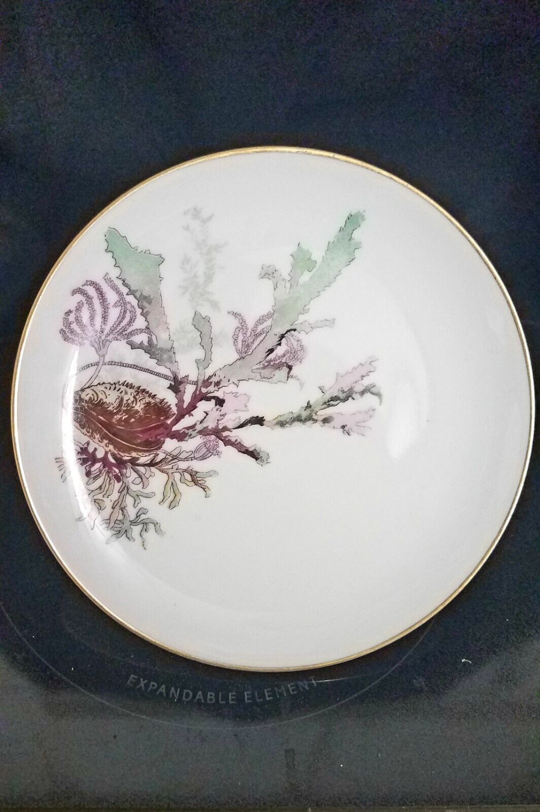 Limoges Sealife Mussel Clam Shell Seaweed Porcelain Plate Dish Halga Paris 8\