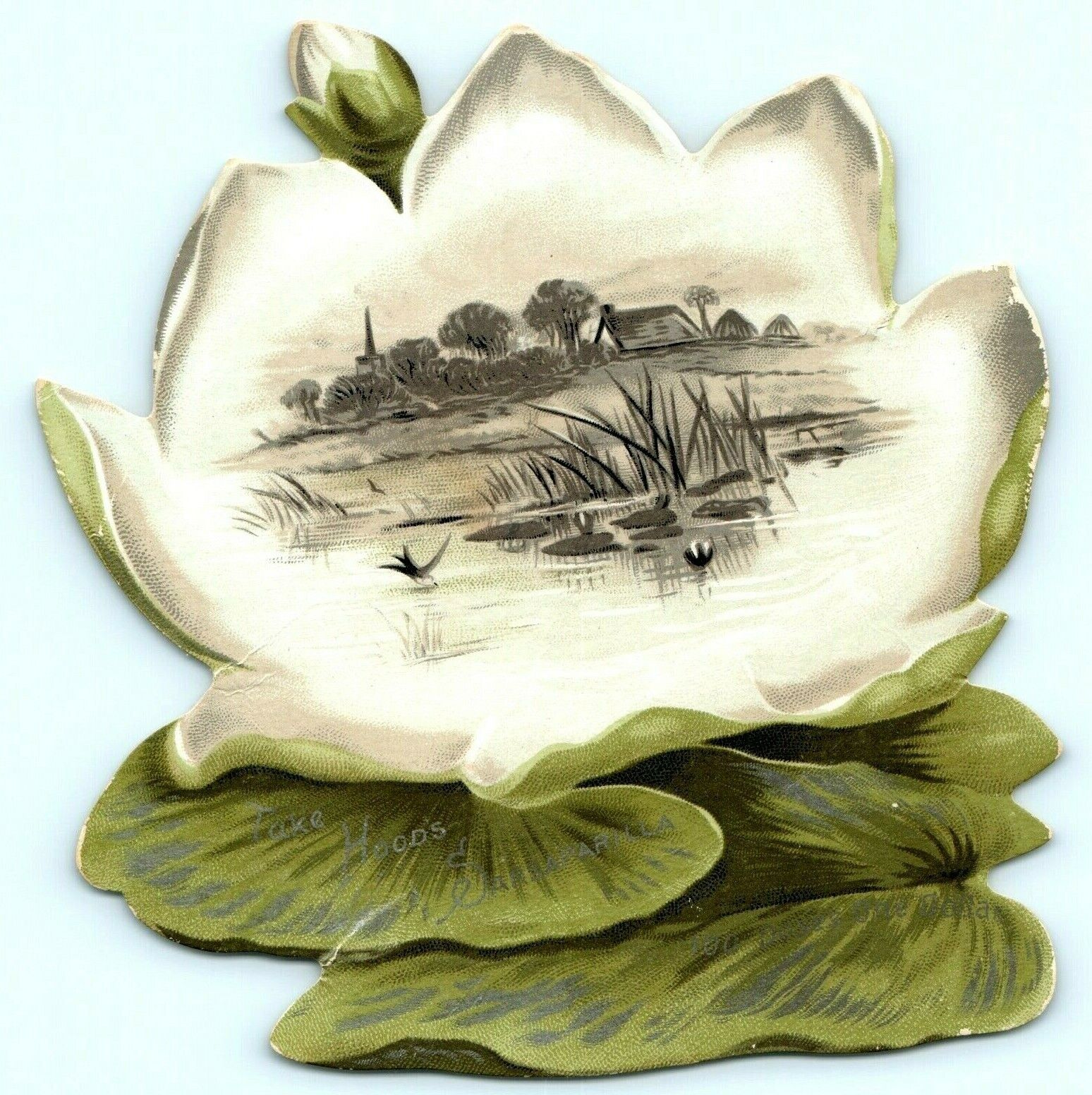 c1880s Hood's Sarsaparilla Die Cut Lily Pad Swamp Quack Medicine Trade Card C12
