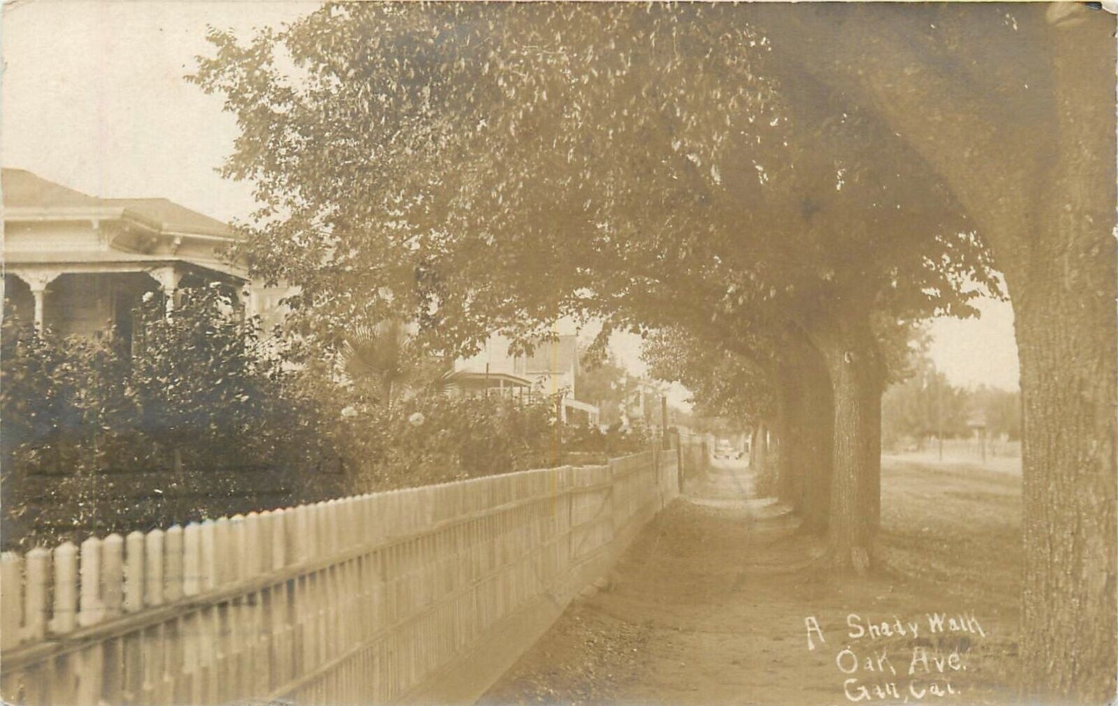 Postcard RPPC 1908 Galt California Sacramento Shady Walk Oak Avenue 23-13574