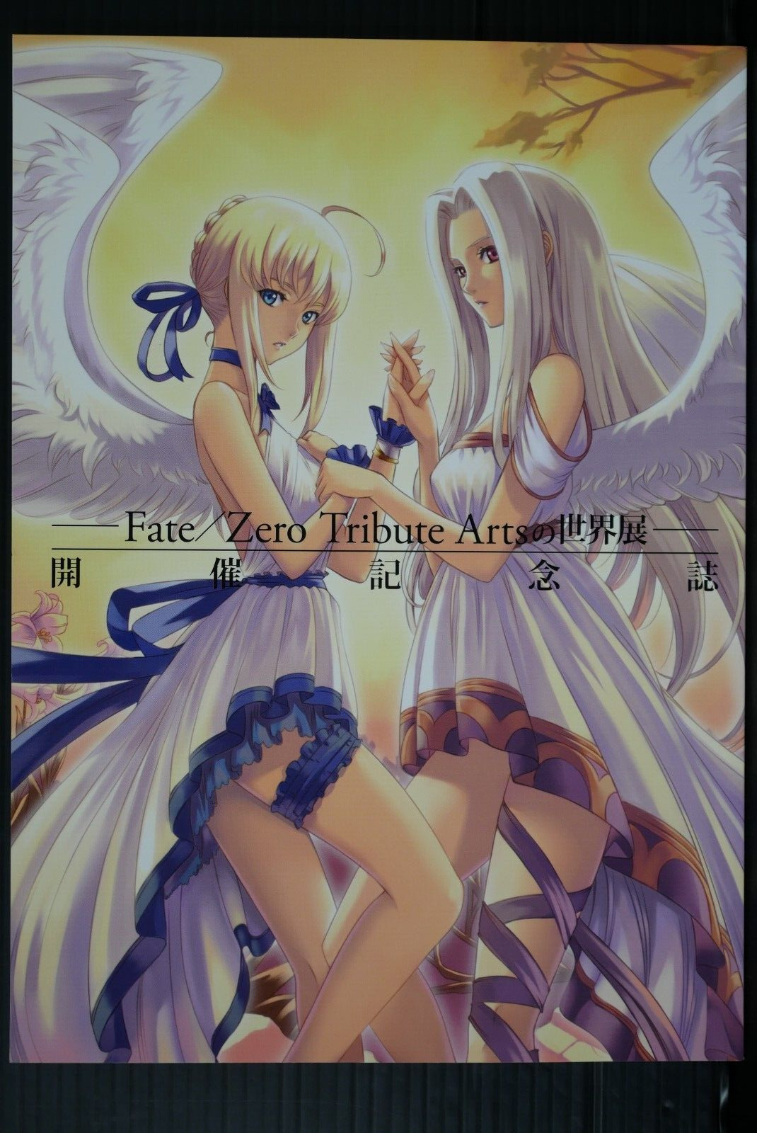 Fate/Zero Tribute Arts Exhibition Commemorative Book (Huke, Yoshitoshi Abe etc.)