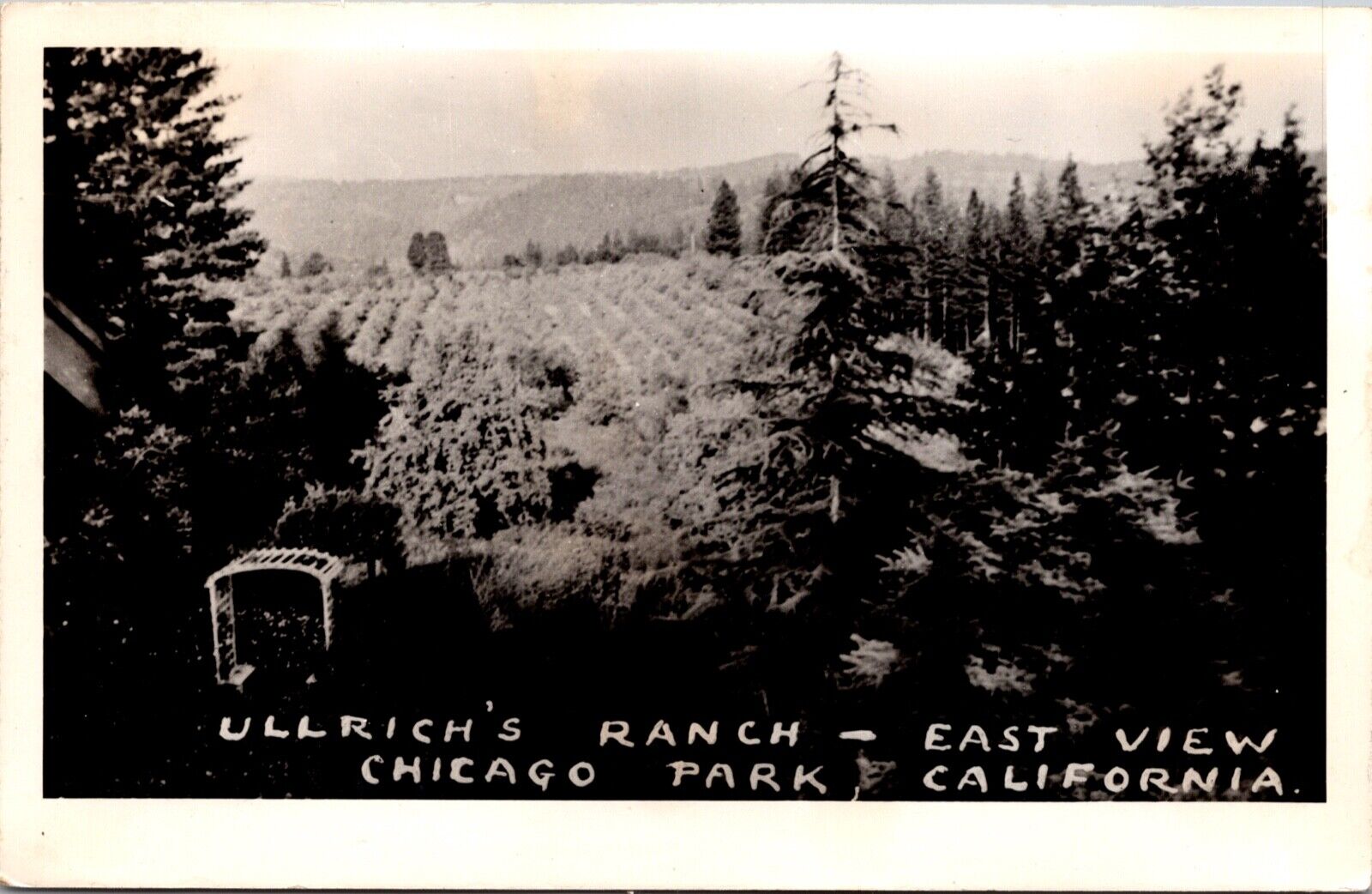 Real Photo Postcard Ullrich\'s Ranch, East View in Chicago Park, California