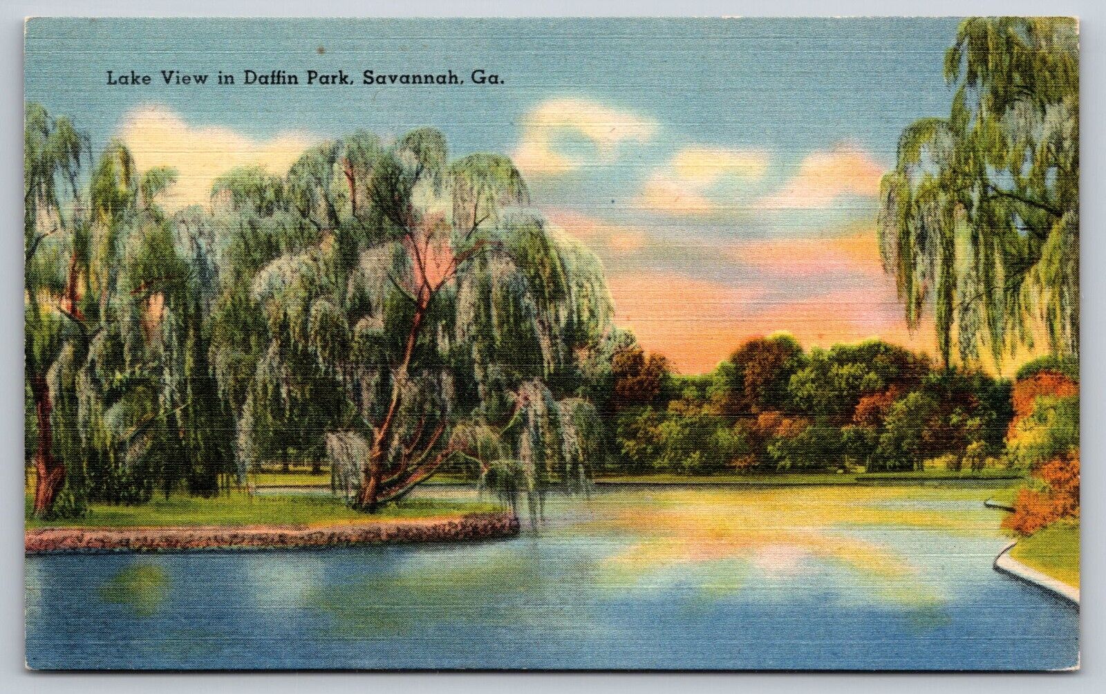 Postcard Georgia Savannah Lake View in Daffin Park 5T