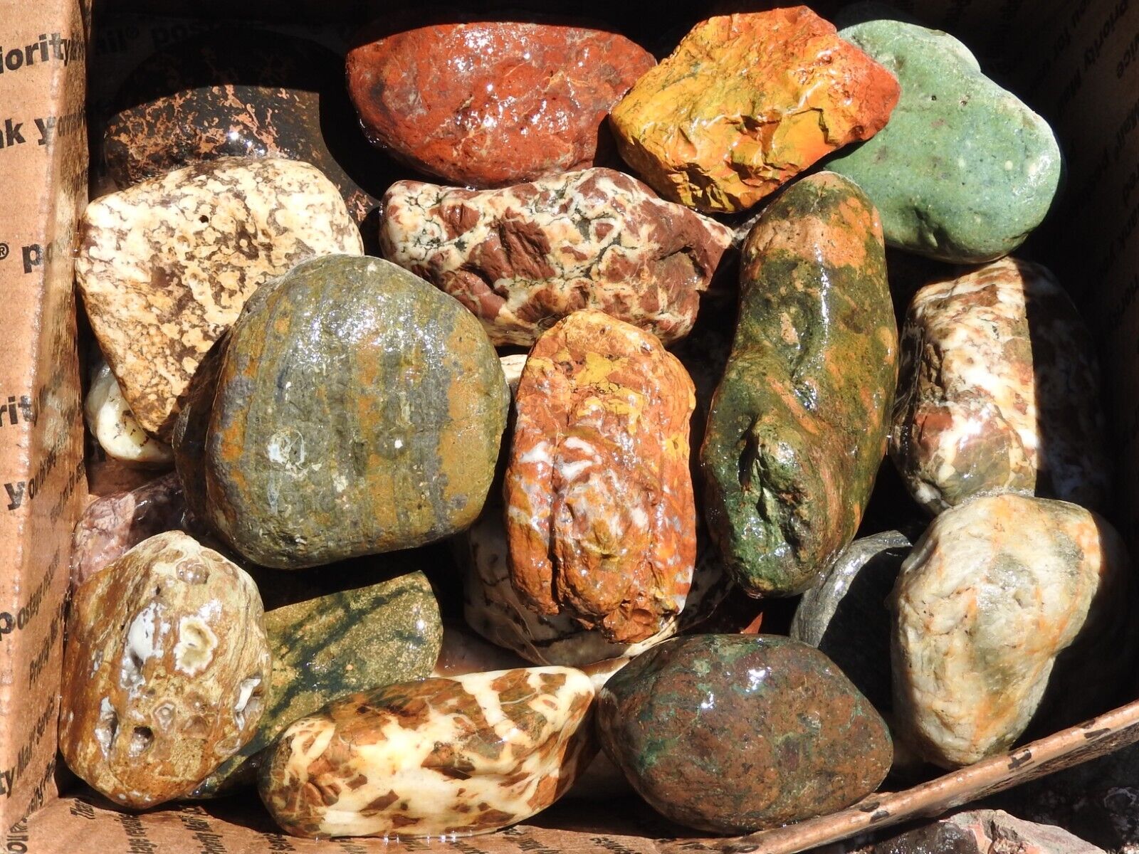 18lbs Lot of UNUSUAL MIXED STONES Rock  Agate, Jasper, Petrified Wood, Chert etc