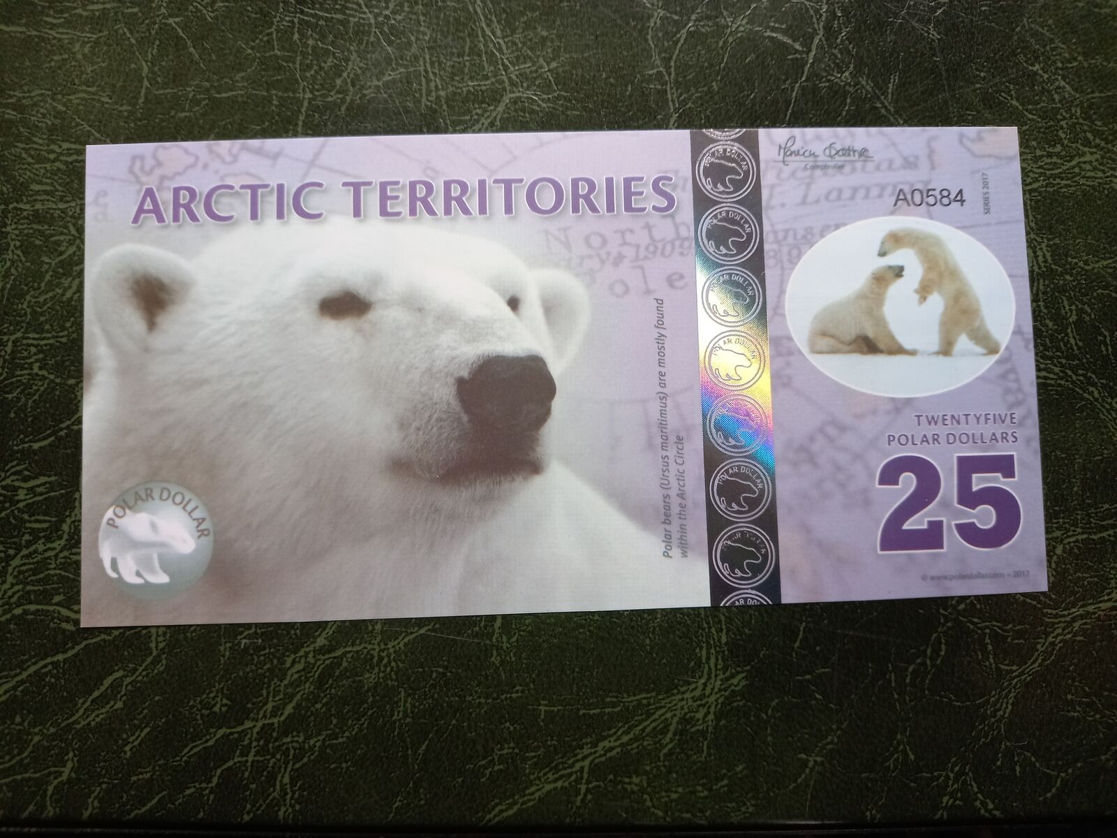 ARCTIC $ 25 Dollars Fun Banknote 2017
