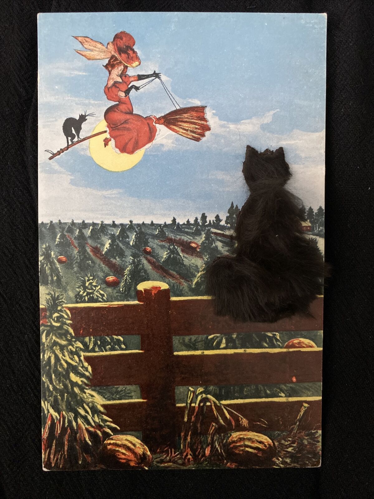 Antique 1900s Halloween Postcard Witch Appliqué Novelty Faux Fur Cat  1909 Mark