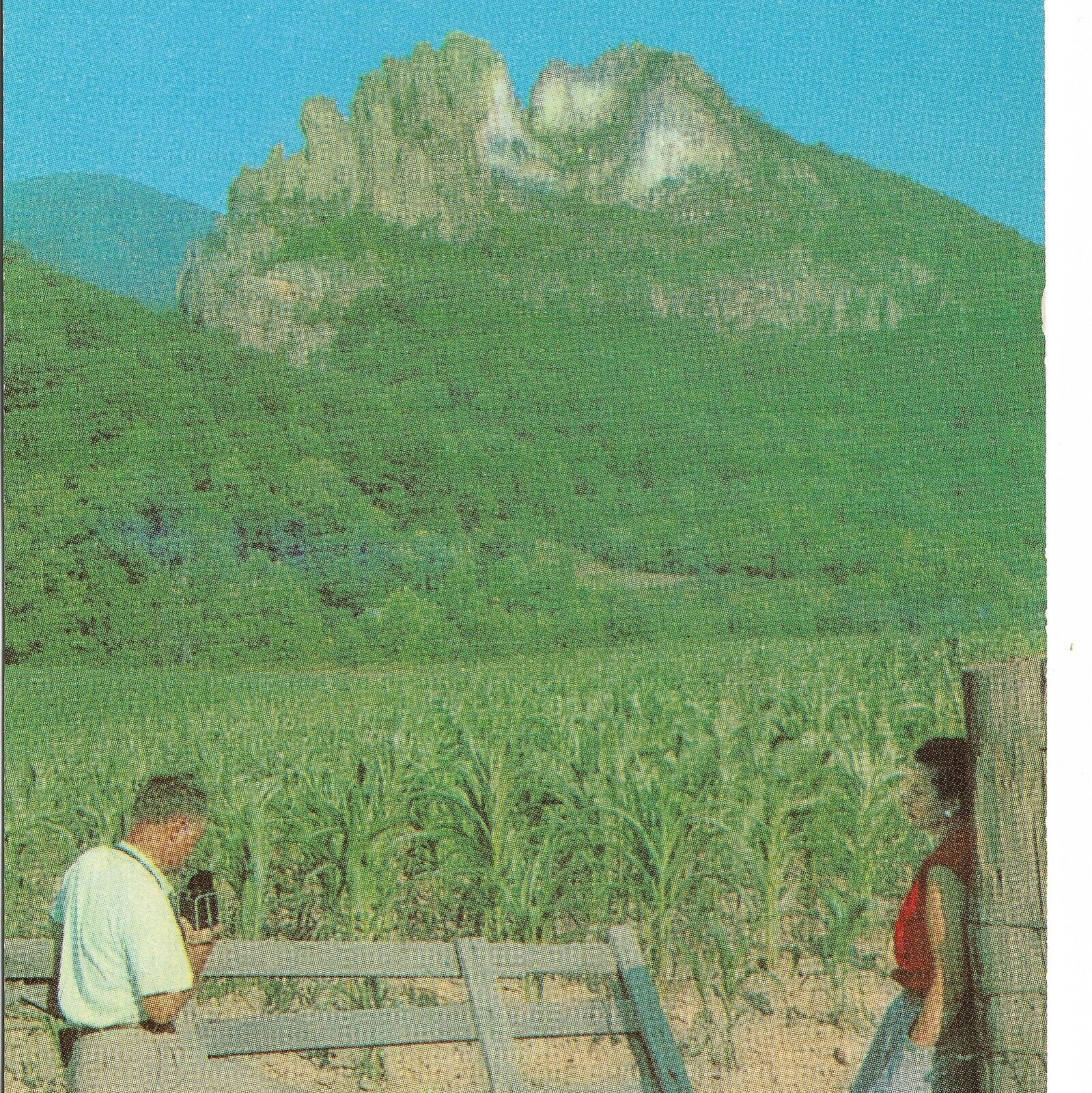 Seneca Rock US Route 5 Elkins West Virginia - 1953 Postcard - PC1810