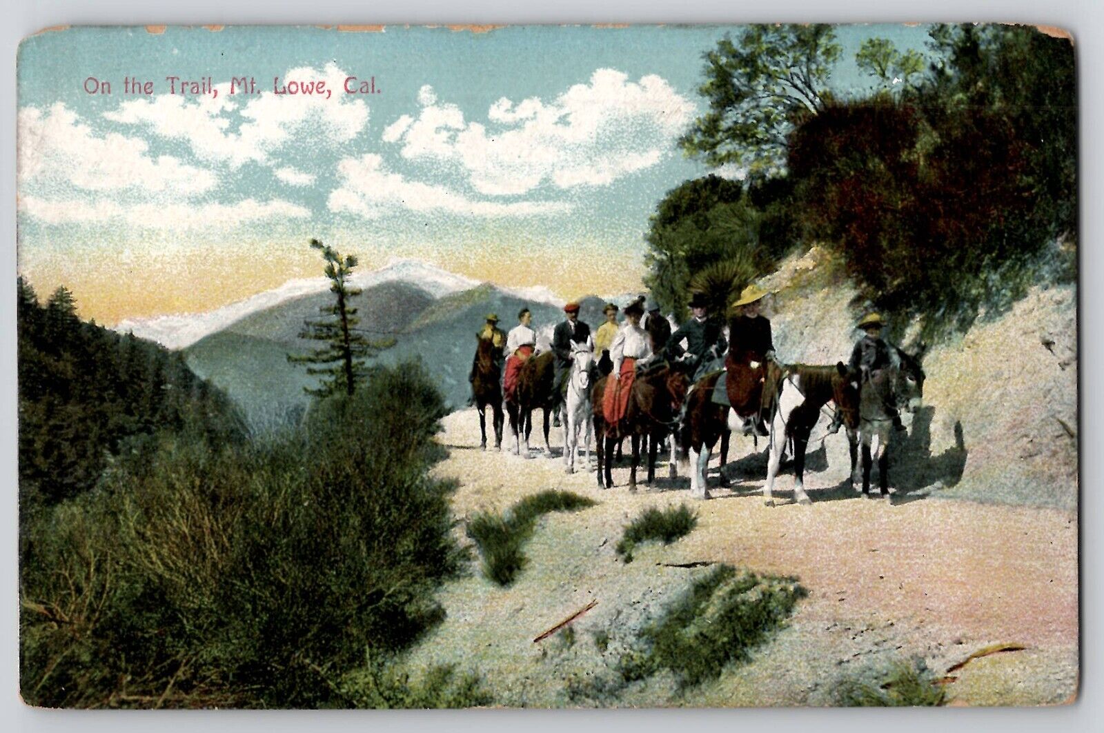 On The Trail Mt Lowe Altadena CA Postcard c1910s Horseback Riders Horses