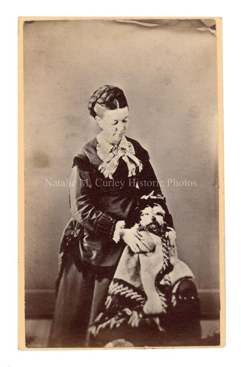 1880s Victorian Woman w/ Dressed Dog Pet CDV Photo