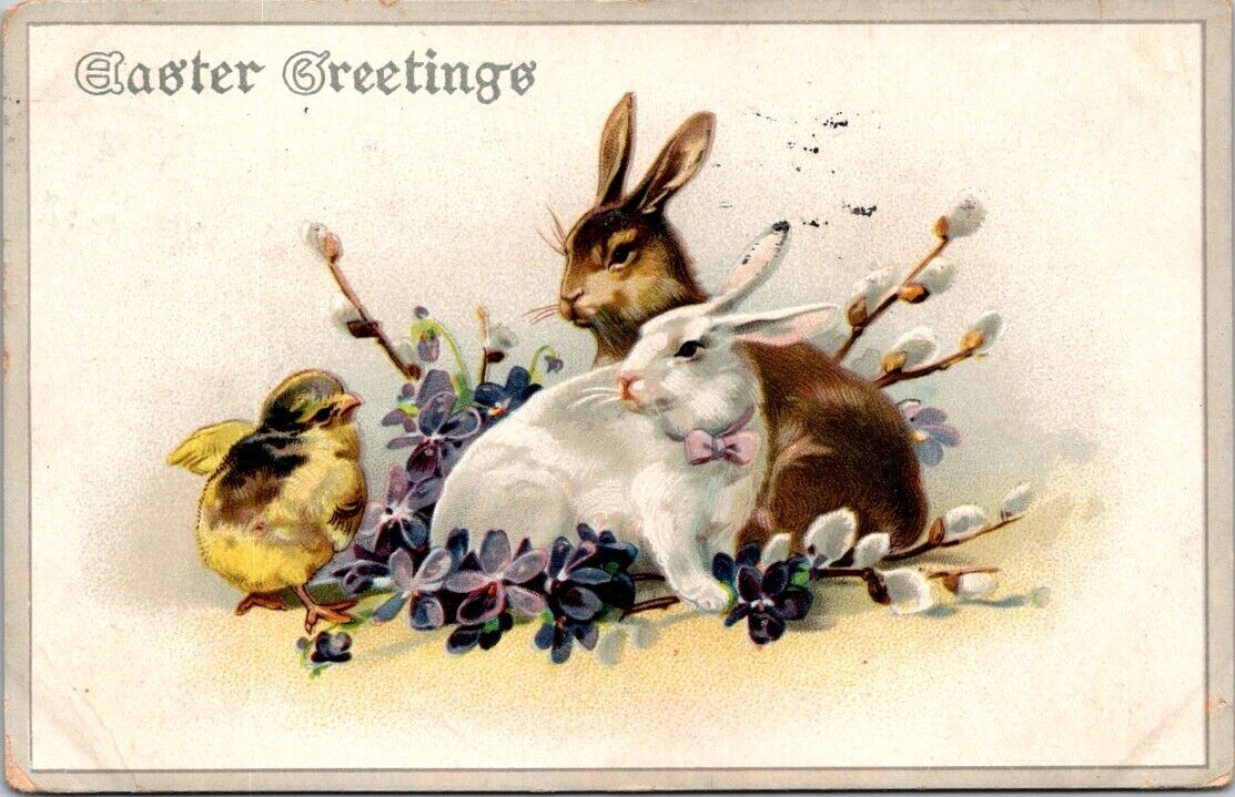 Easter White Brown Rabbit Chick Violets Pussy Willow Emboss c1910s postcard NQ2