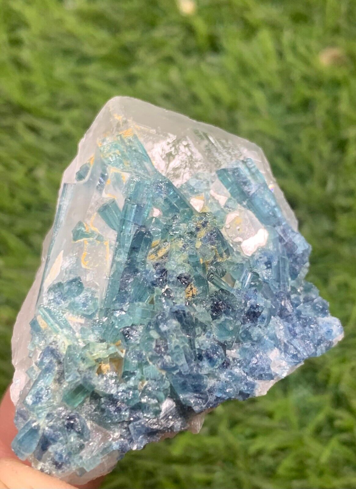 283CT Amazing Indicolite Tourmaline Crystal Bunch On Quartz from Afghanistan