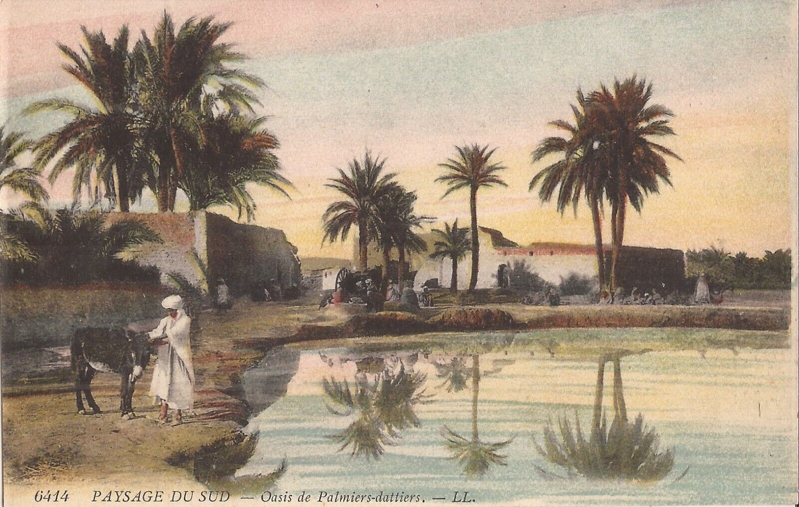 FRENCH NORTH AFRICA - Southern Landscape - Date Palm Oasis - Desert