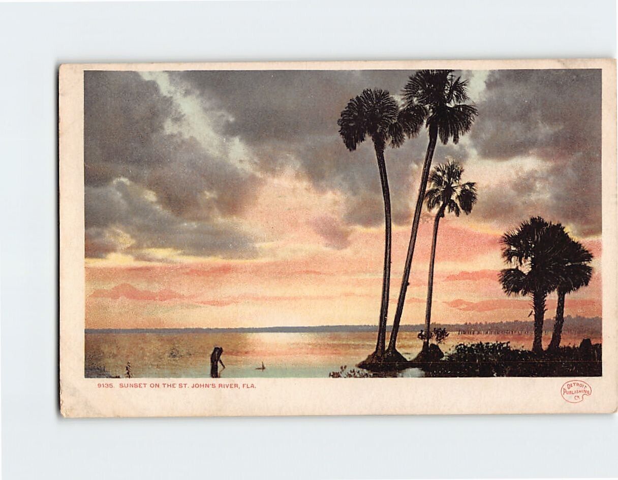 Postcard Sunset on the St. John's River Florida USA North America