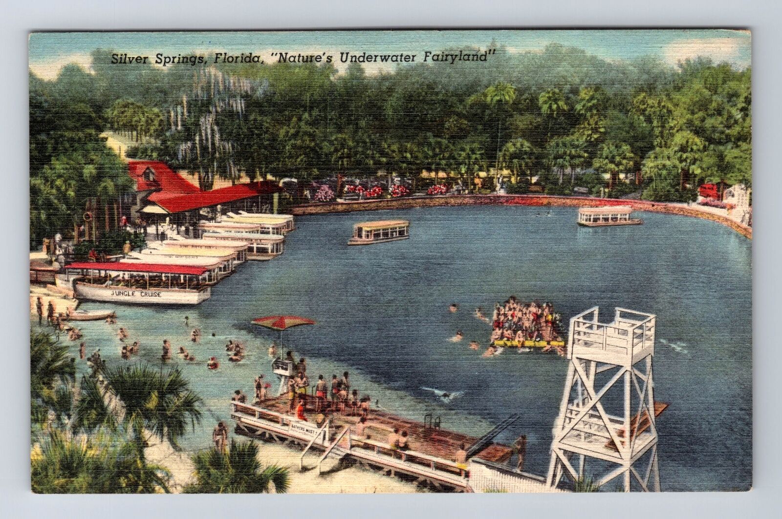 Silver Springs FL-Florida, Nature\'s Underwater Fairyland, Vintage Postcard
