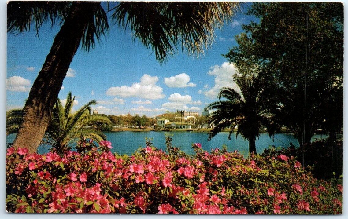 Postcard - Azaleas Beside Mirror Lake - St. Petersburg, Florida