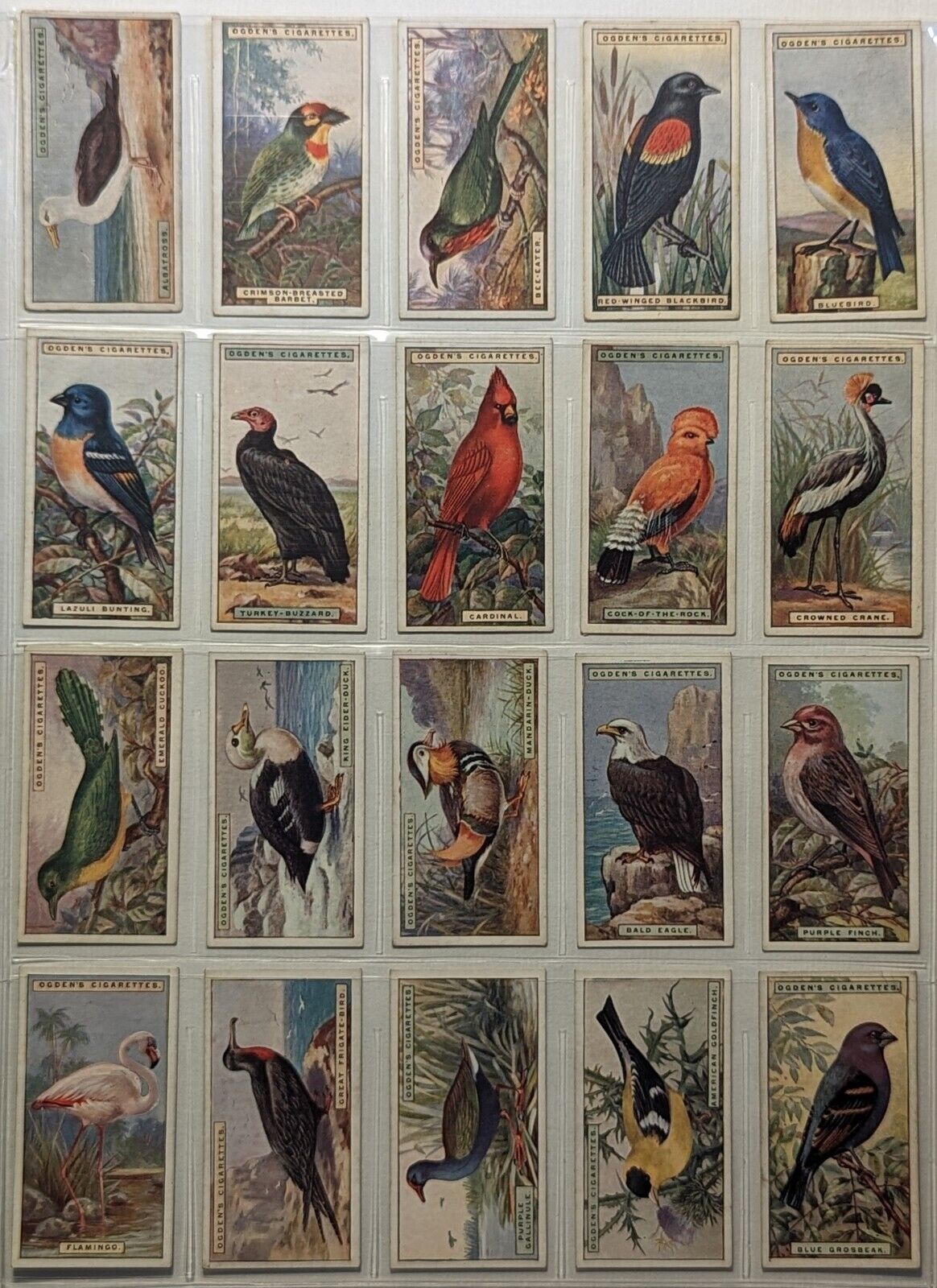 1924 Ogden's Cigarettes Foreign Birds Series Of 50 Cards Complete