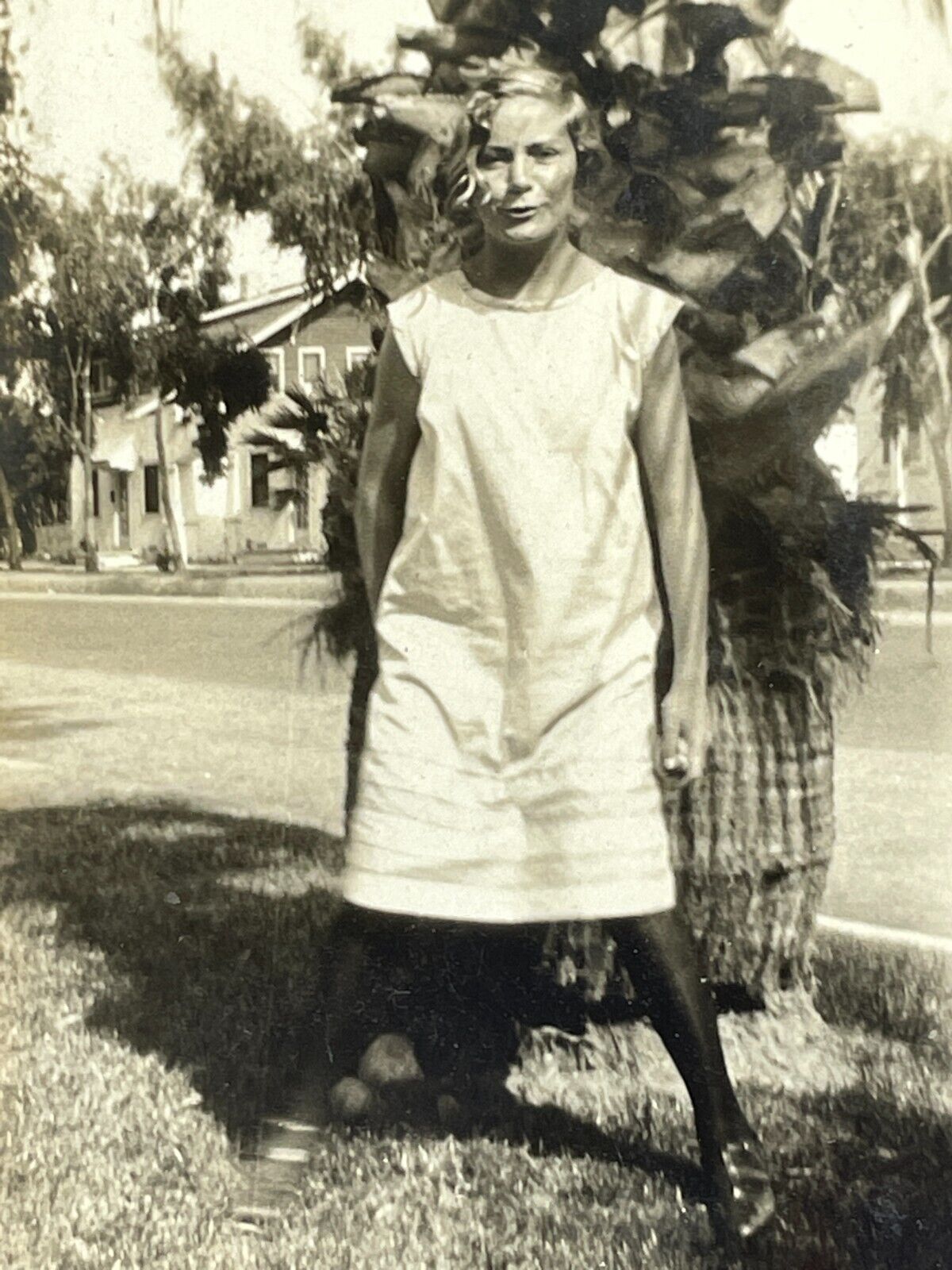 N7 Photograph Girl Palm Tree 1920's Neighborhood 