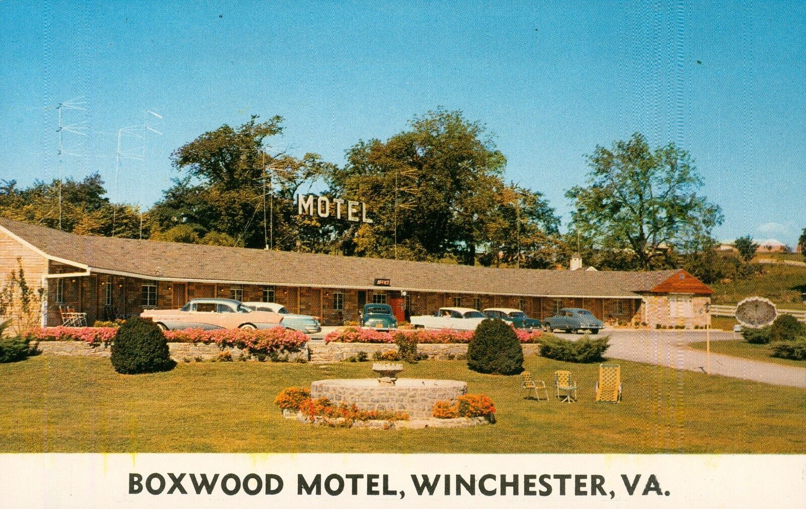 Postcard VINTAGE 1950s WINCHESTER, Virginia, BOXWOOD MOTEL Old Cars