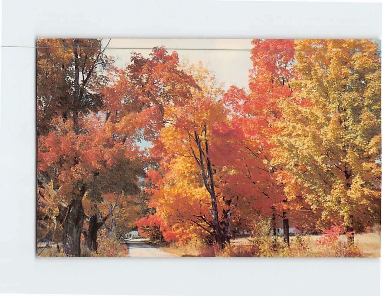 Postcard Autumn Glory