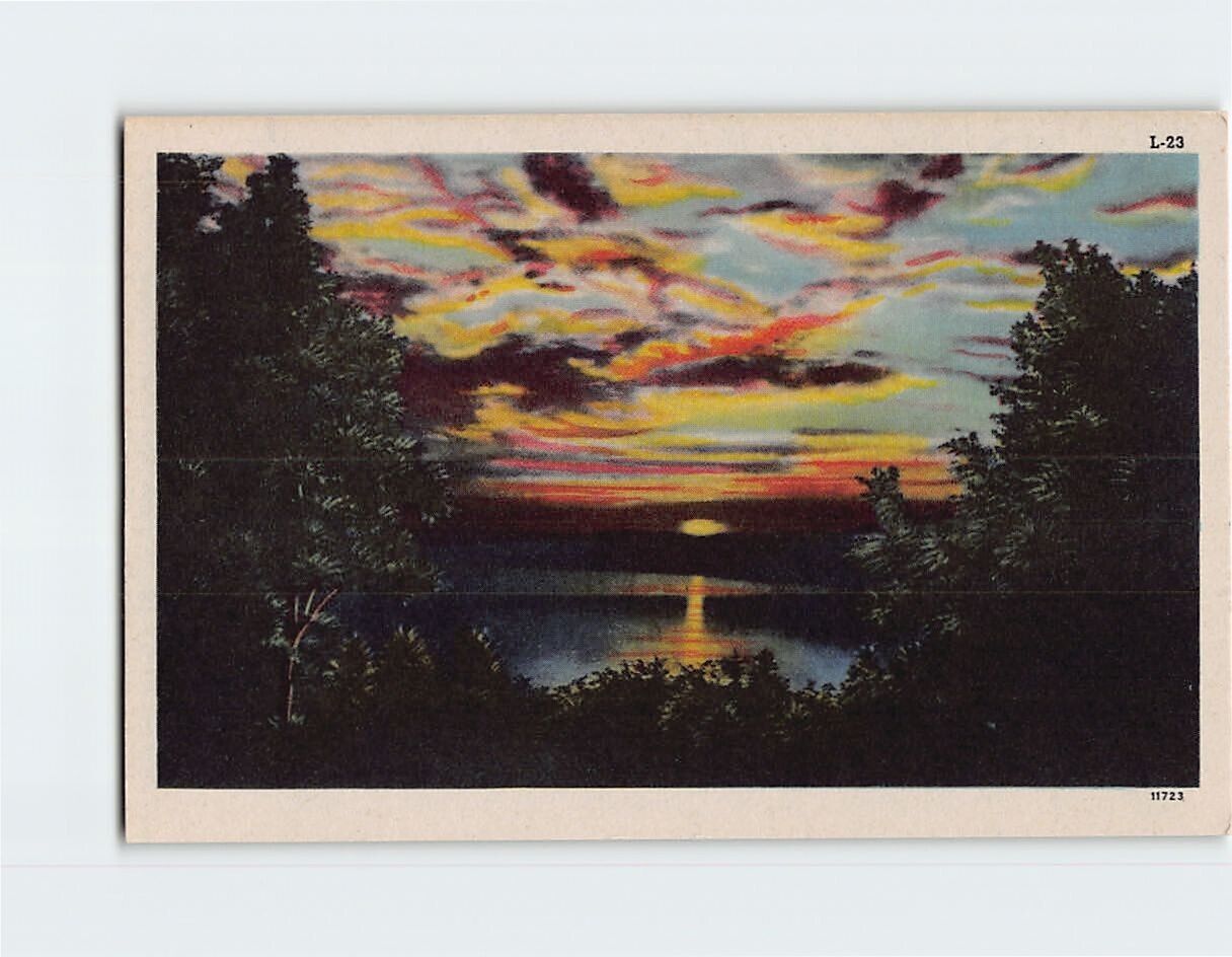 Postcard Ocean Moonlight Scene