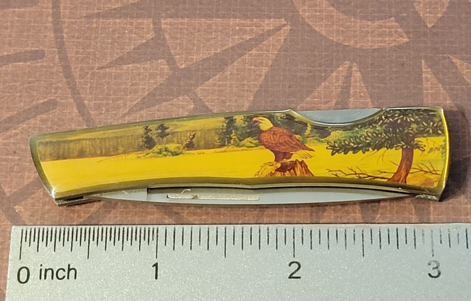CASE XX Knife Made In USA 1992? Lockback Bald Eagle Picture Handle Vintage