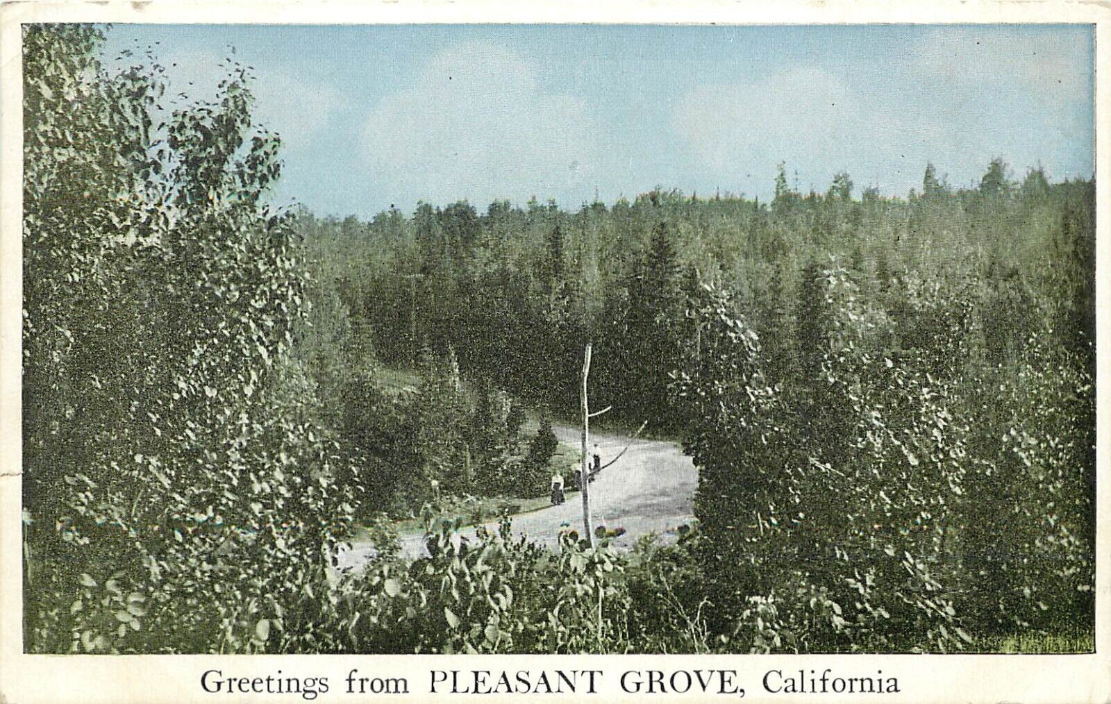 1920s Postcard; Greetings from Pleasant Grove CA Sutter County Used Unposted