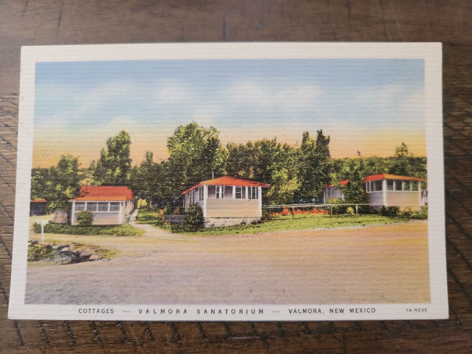Postcard NM New Mexico Valmora Mora County Sanatorium Cottages View
