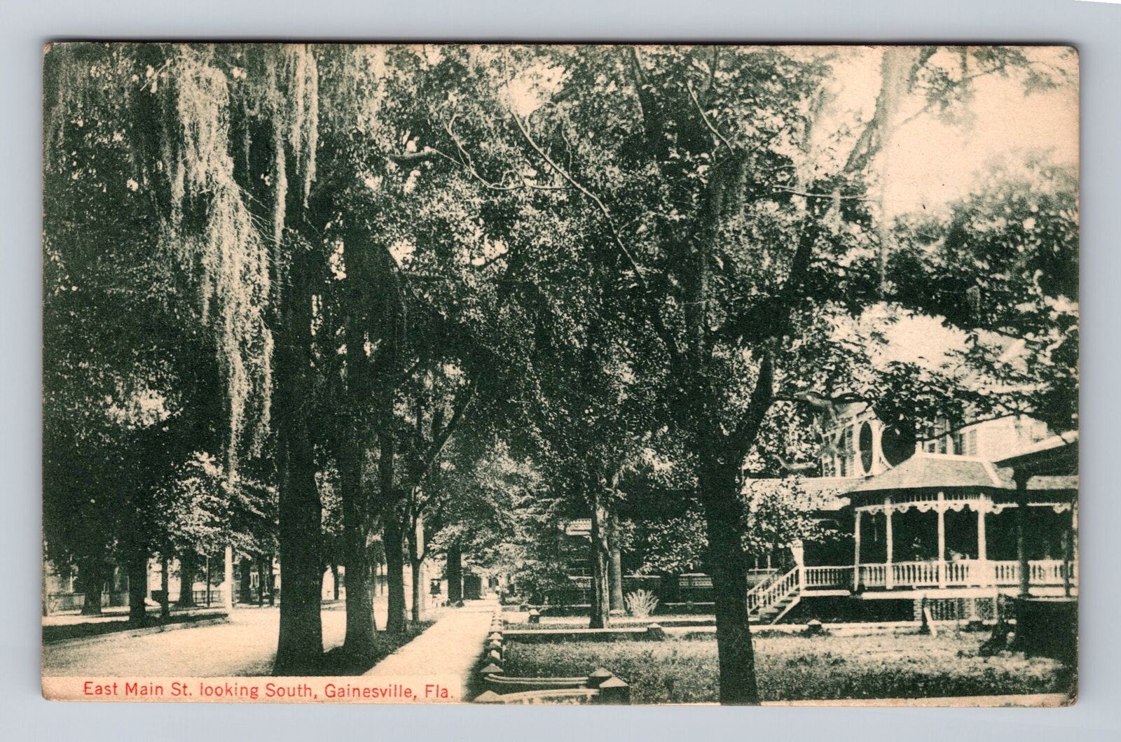 Gainesville FL-Florida, East Main Street Looking South Vintage Postcard