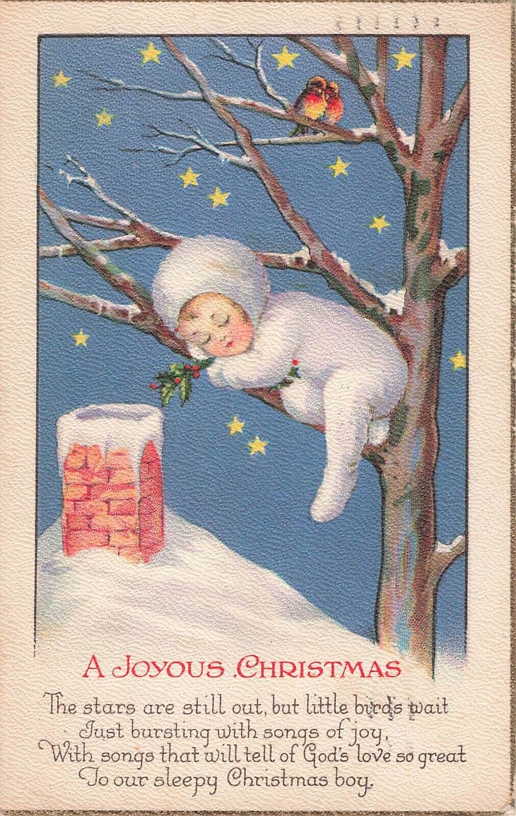 Christmas Postcard Boy and Birds in a Tree with Stars  PM 1923   W5