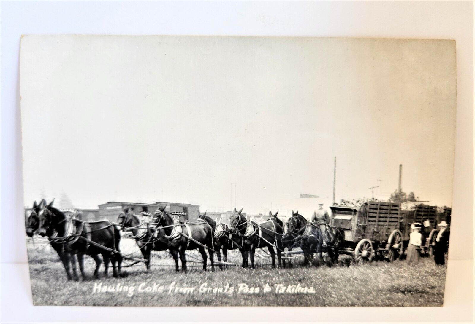 RPPC Oregon Wagon Team Hauling Coke Grants Pass To Takilma Early 1900's Antique