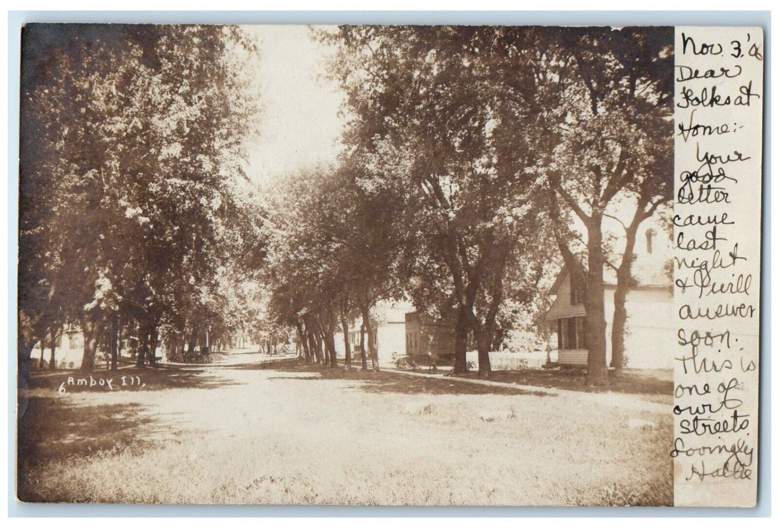 1906 Street View Houses And Trees Amboy Illinois IL RPPC Photo Antique Postcard