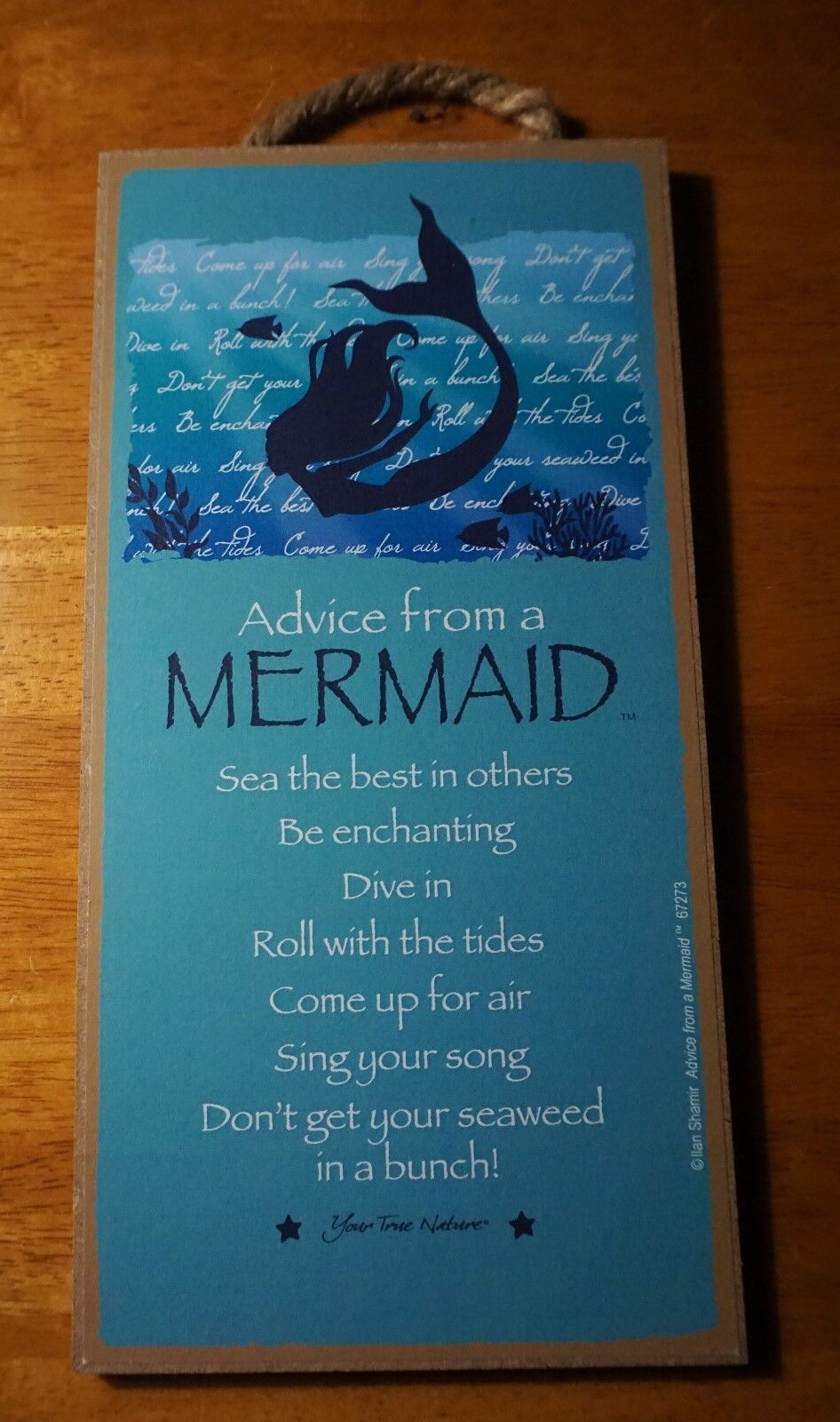 ADVICE FROM A MERMAID Be Enchanting - Dive In - Teal Beach Home Decor Sign NEW